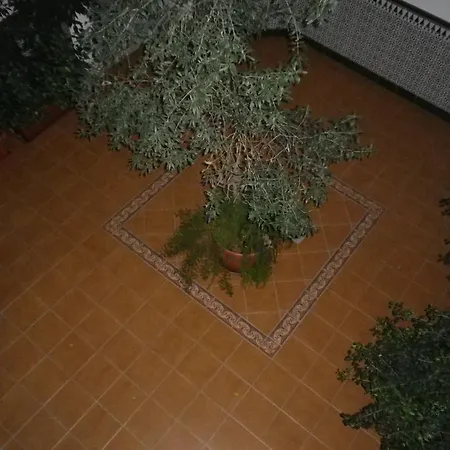 Muralla Centro דירה *